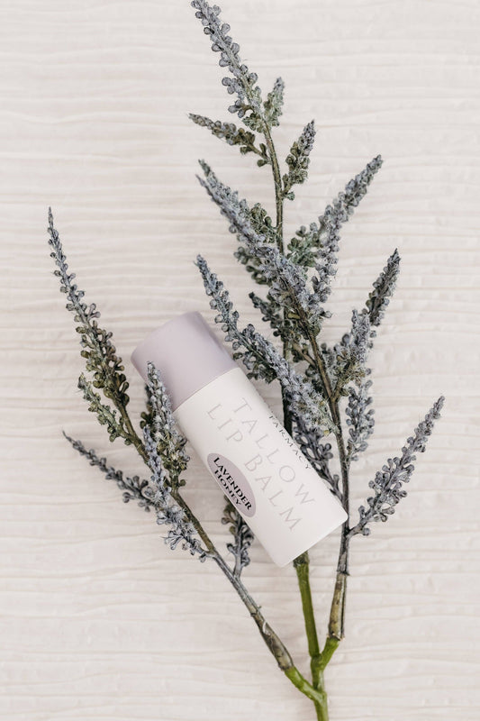 Tallow Lip Balm - Lavender & Honey