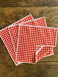Red Gingham Double-Sided Dishcloth Set