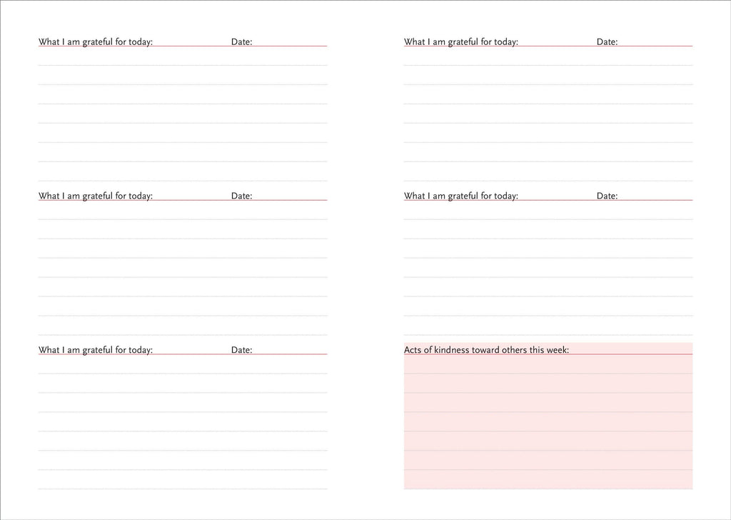 A Daily Dose of Gratitude Journal