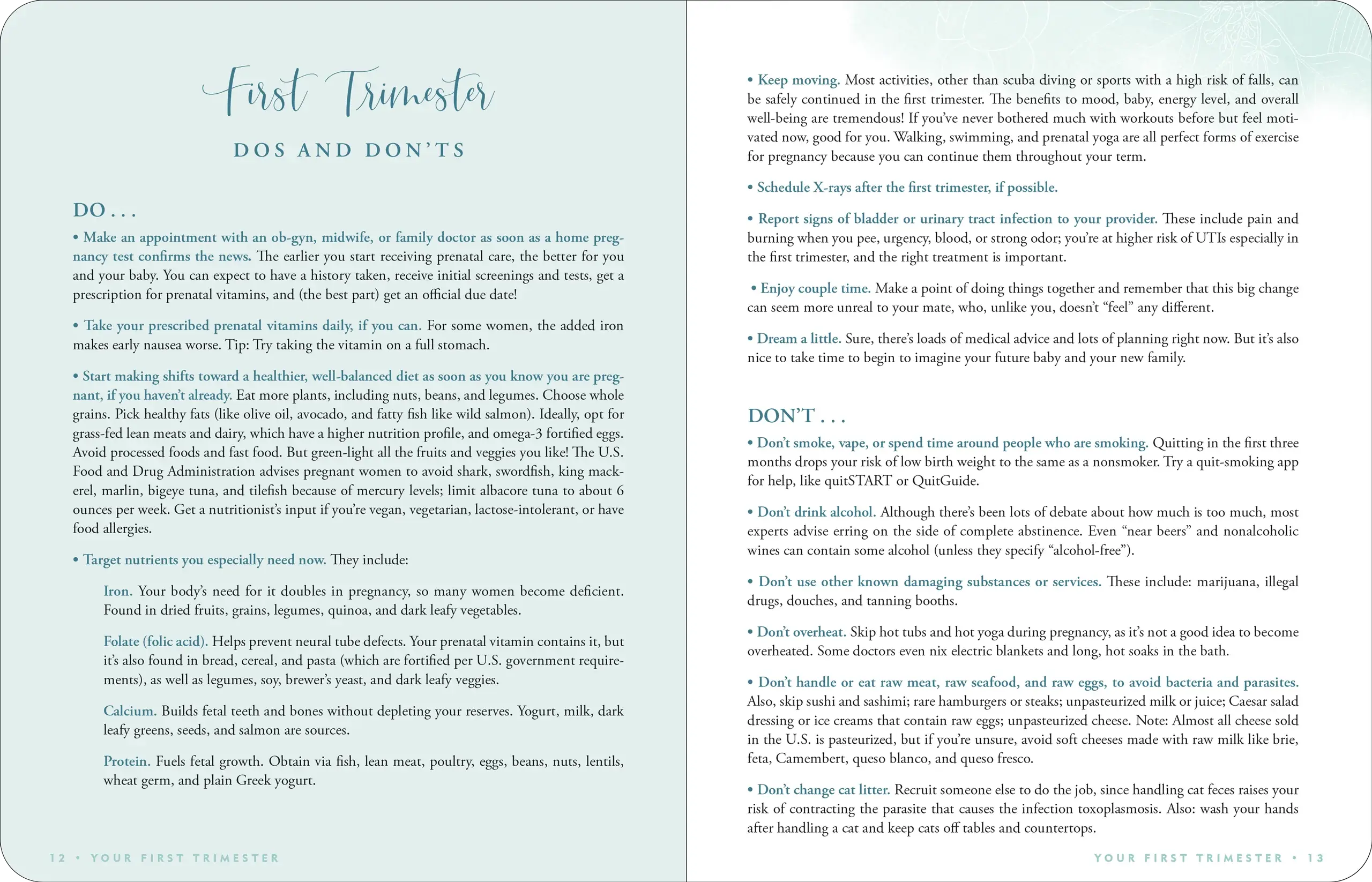 Pregnancy Journal