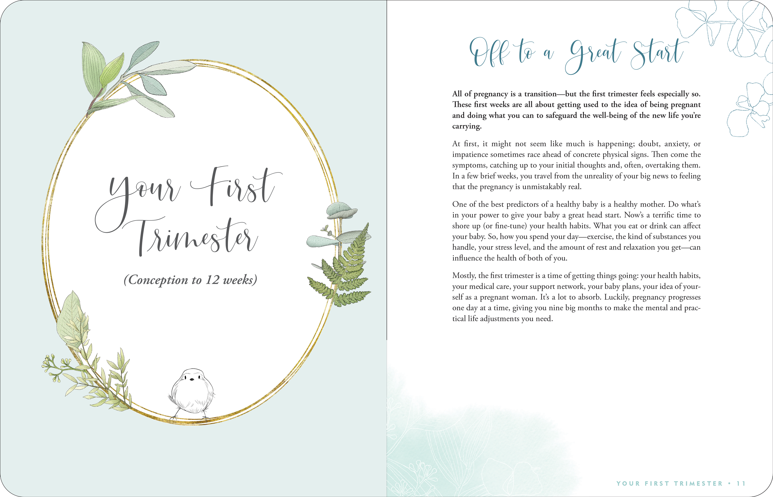 Pregnancy Journal