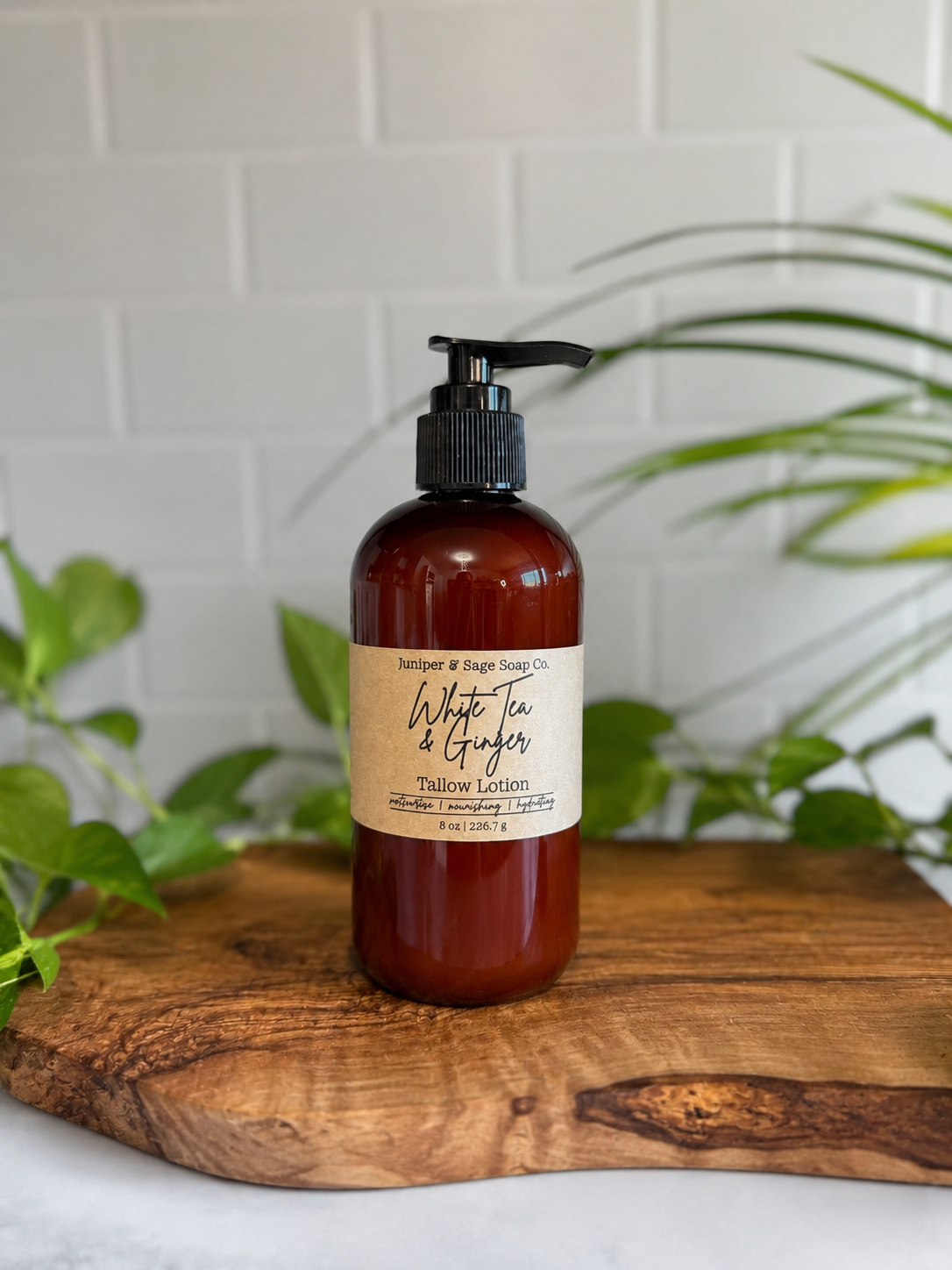 White Tea & Ginger - Tallow Lotion