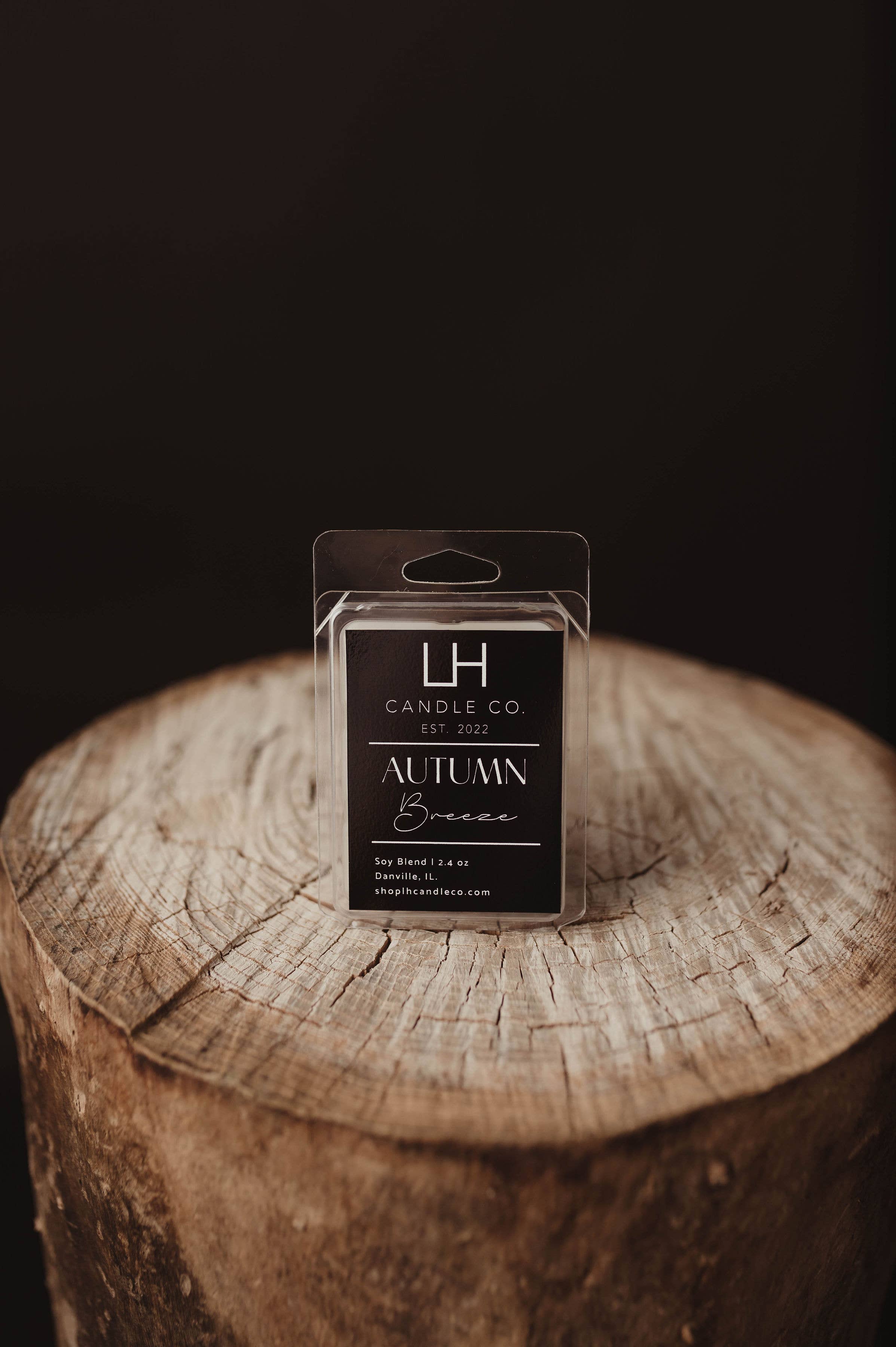 Autumn Breeze Wax Melt