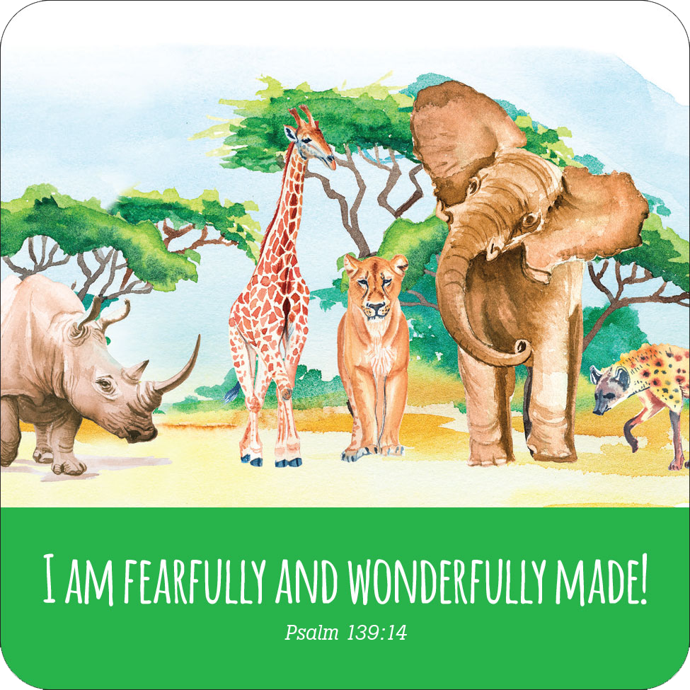 Scripture Lunch Box Notes for Kids! (Set of 60 Cards)