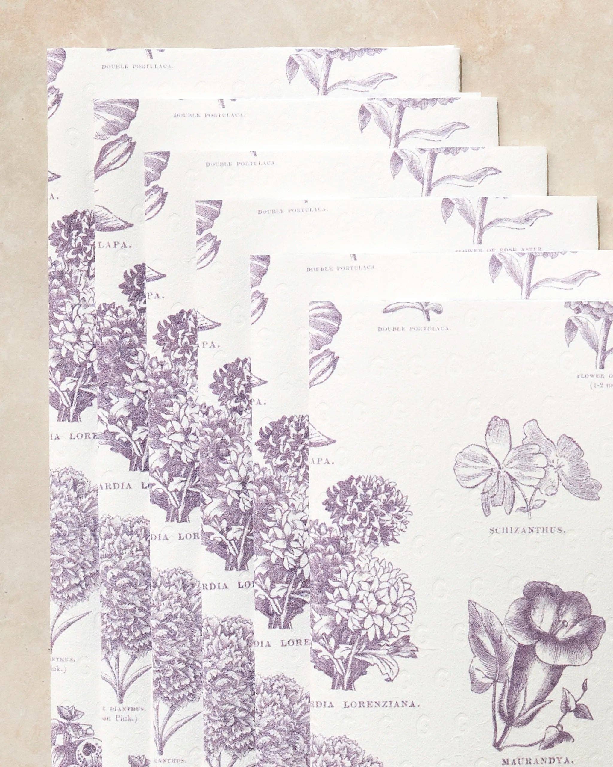 Flower Glossary Not Paper Towel