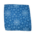 Snowflake With Blue Dishcloth