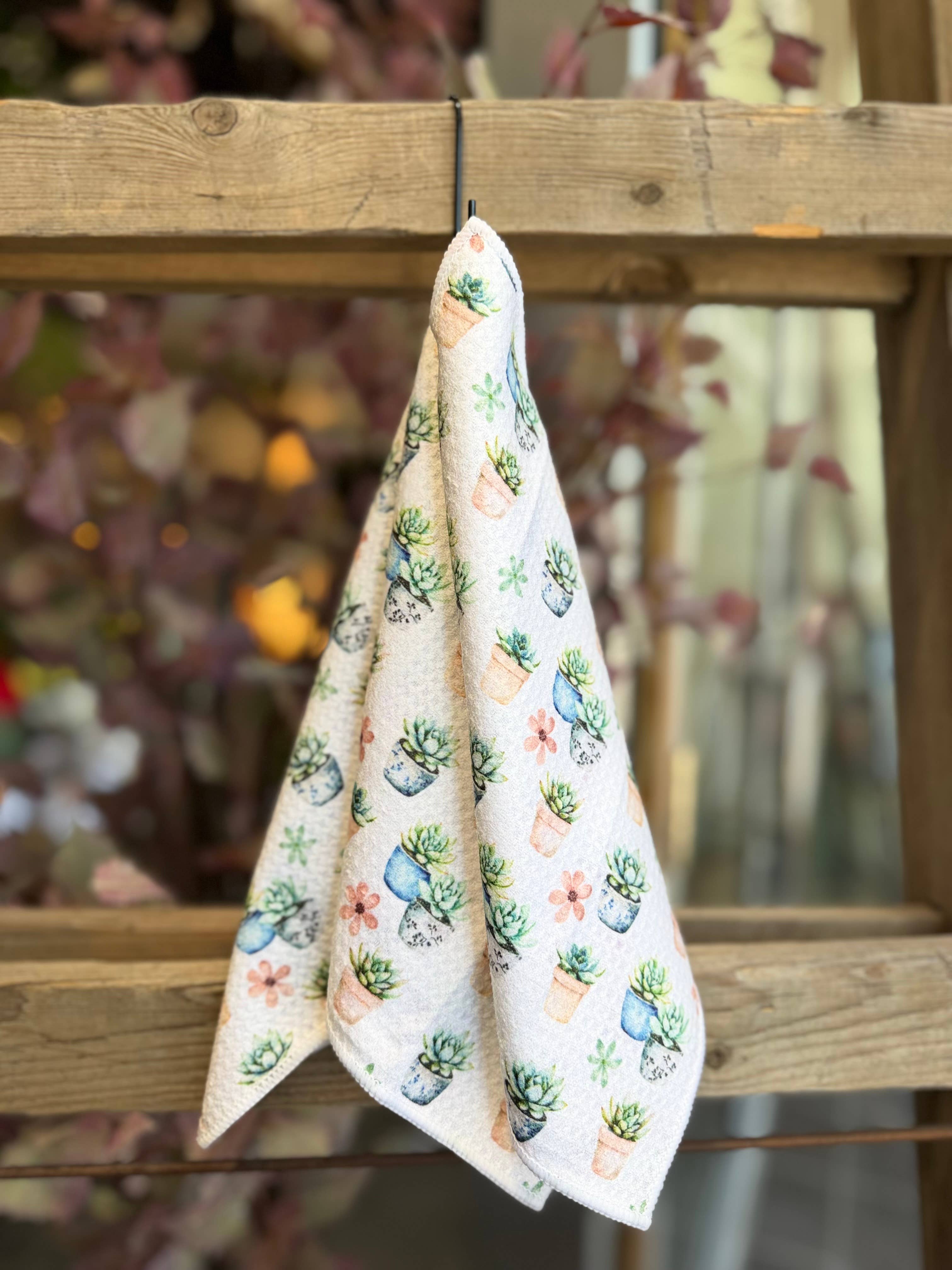 Succulent Pots Double-Sided Dishcloth Set